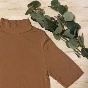 Everlane Brown Mockneck Top